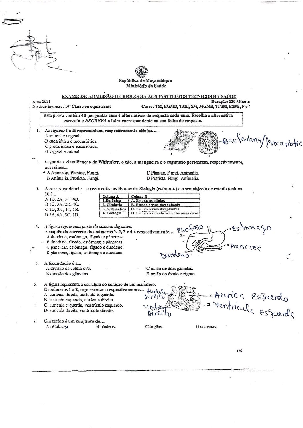 Biologia – 2014 do ICS (Enunciado e Resolução do Exame de Admissão em PDF)