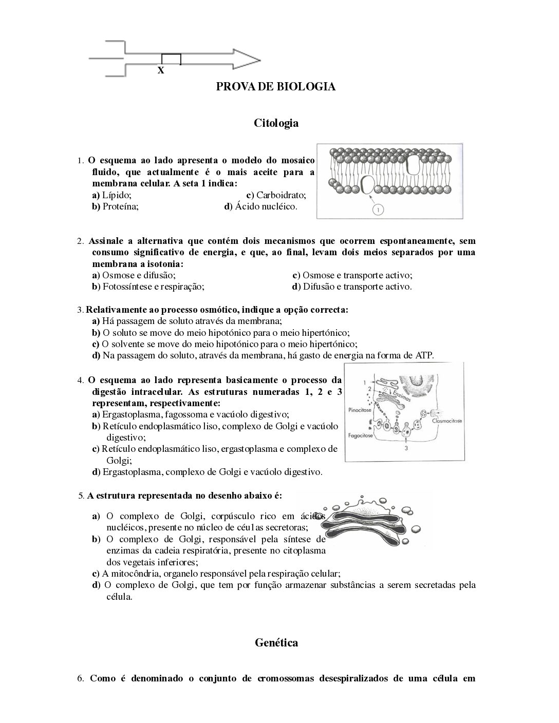 Biologia – 2009 da UP (Enunciado e Resolução do Exame de Admissão em PDF)