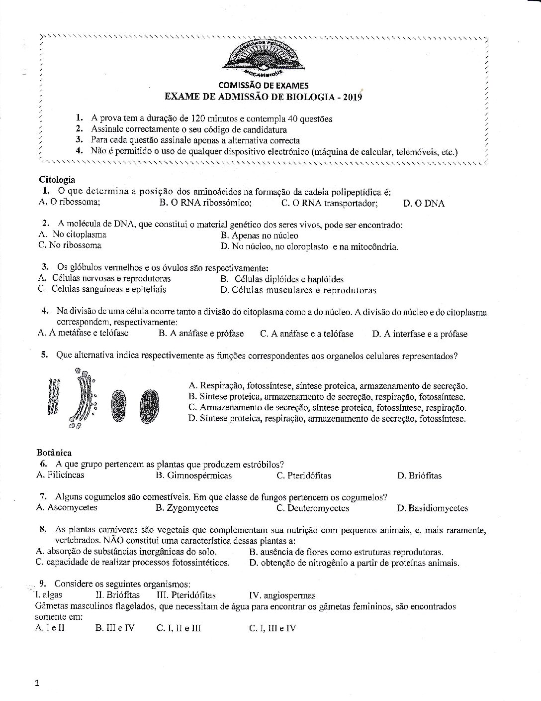 Biologia – 2019 da UP (Enunciado e Resolução do Exame de Admissão em PDF)