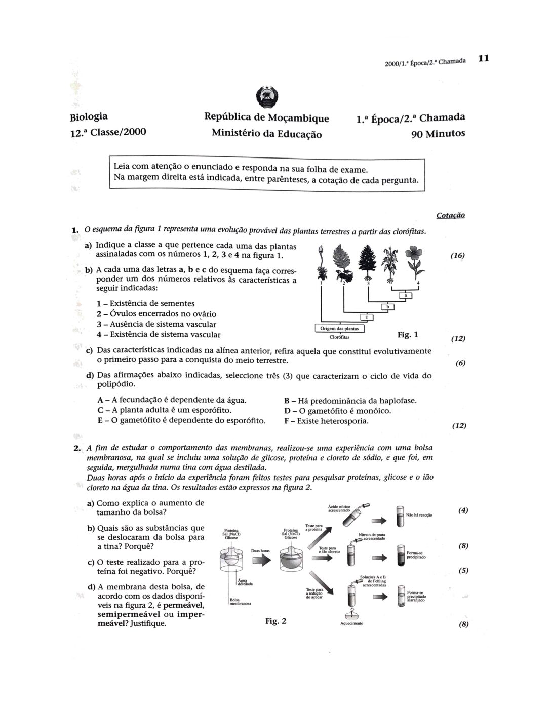 Biologia – 2000 da 12ª Classe – 2ª Chamada (Enunciado e Resolução do Exame Final em PDF)