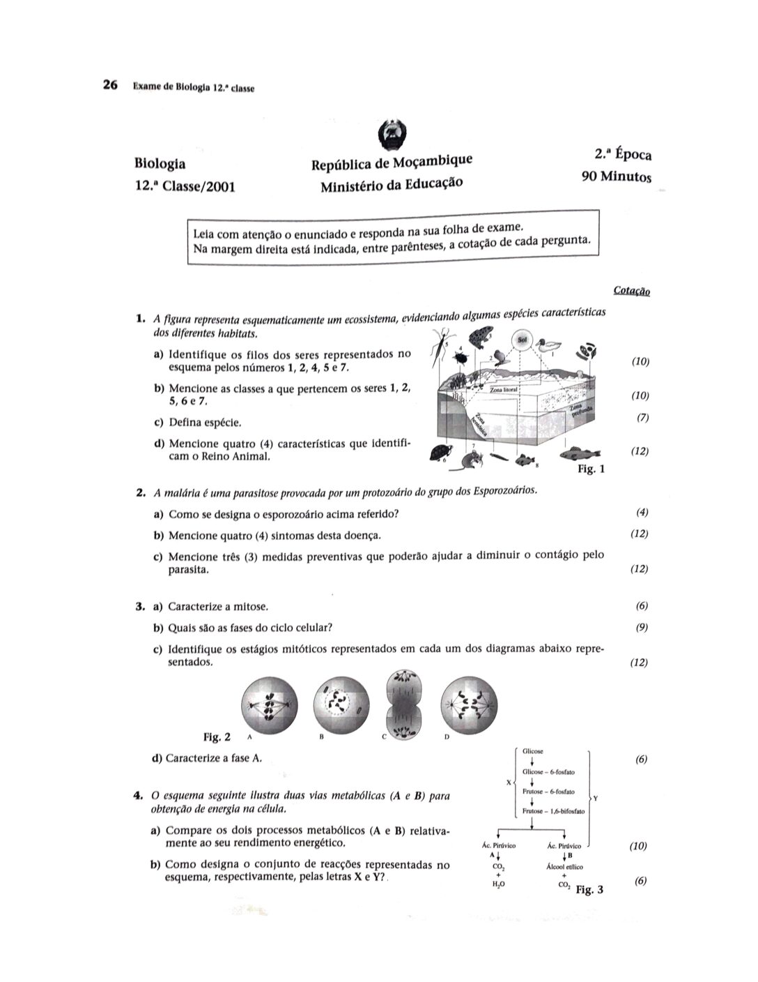 Biologia – 2001 da 12ª Classe – 2ª Chamada (Enunciado e Resolução do Exame Final em PDF)