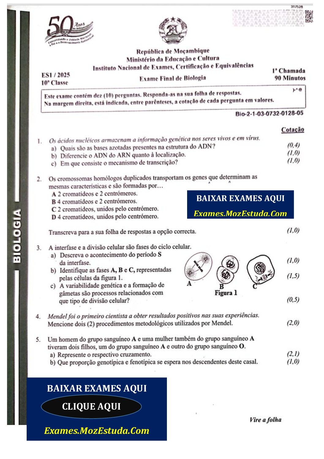 Biologia – 2025 da 10ª Classe – 1ª Chamada (Enunciado e Resolução do Exame Final em PDF)