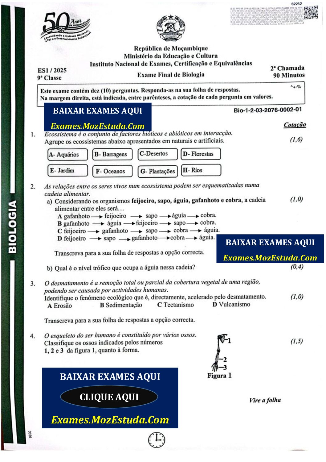 Biologia – 2025 da 9ª Classe – 2ª Chamada (Enunciado e Resolução do Exame Final em PDF)