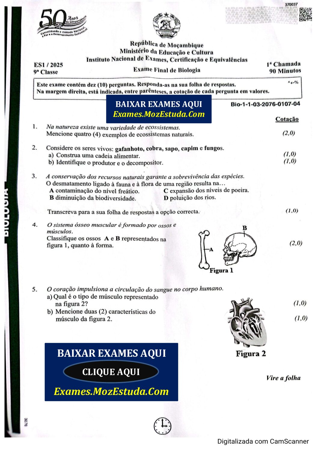 Biologia – 2025 da 9ª Classe – 1ª Chamada (Enunciado e Resolução do Exame Final em PDF)